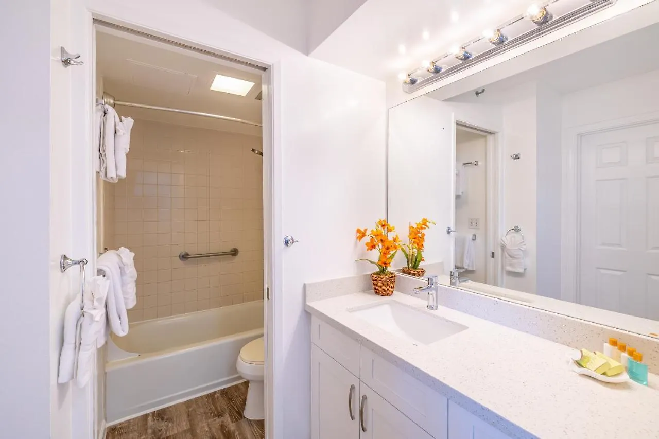 Beautiful Ocean And Diamond Head Views With Parking Apartment Honolulu United States