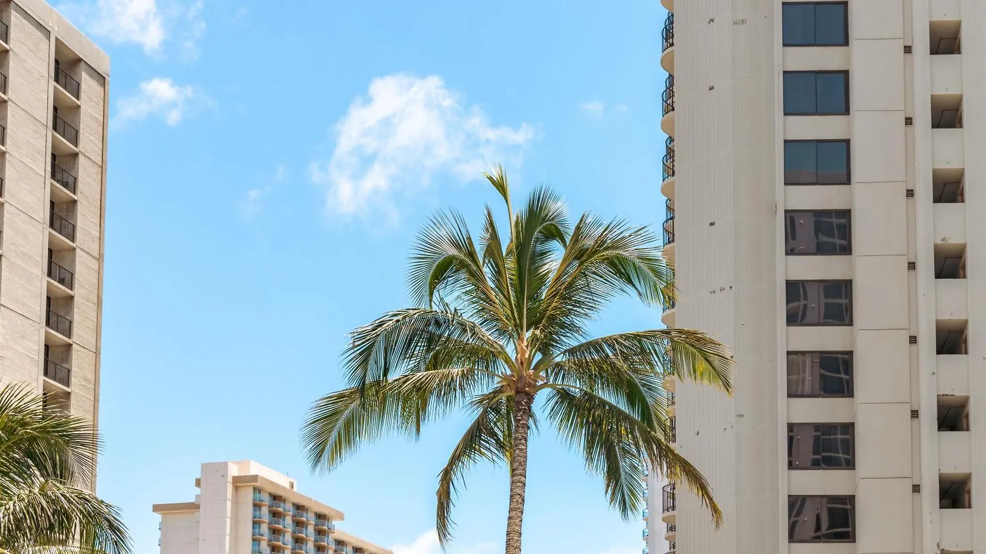 Beautiful Ocean And Diamond Head Views With Parking Apartment Honolulu 0*,  United States