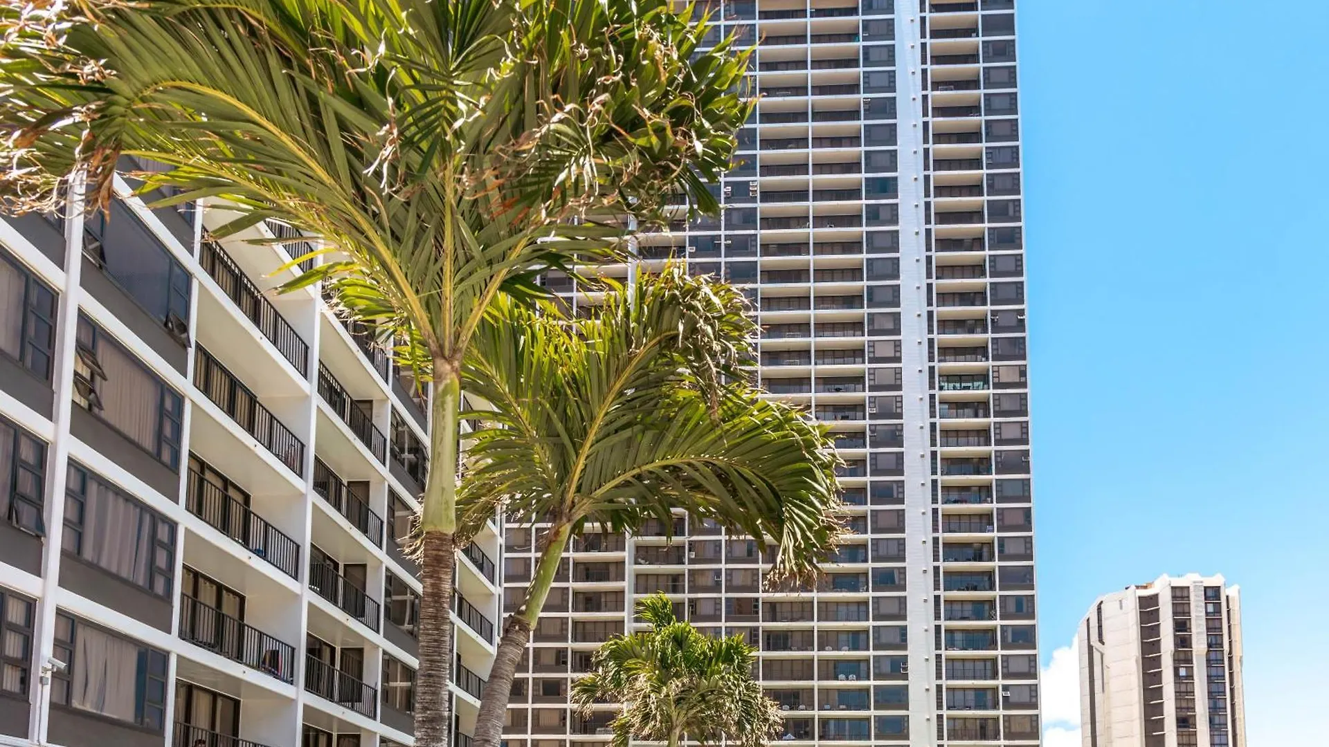 Beautiful Ocean And Diamond Head Views With Parking Apartment Honolulu 0*,