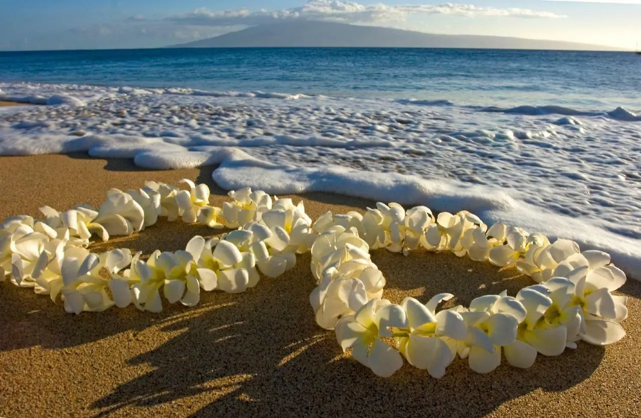 Beautiful Ocean And Diamond Head Views With Parking Apartment Honolulu 0*,