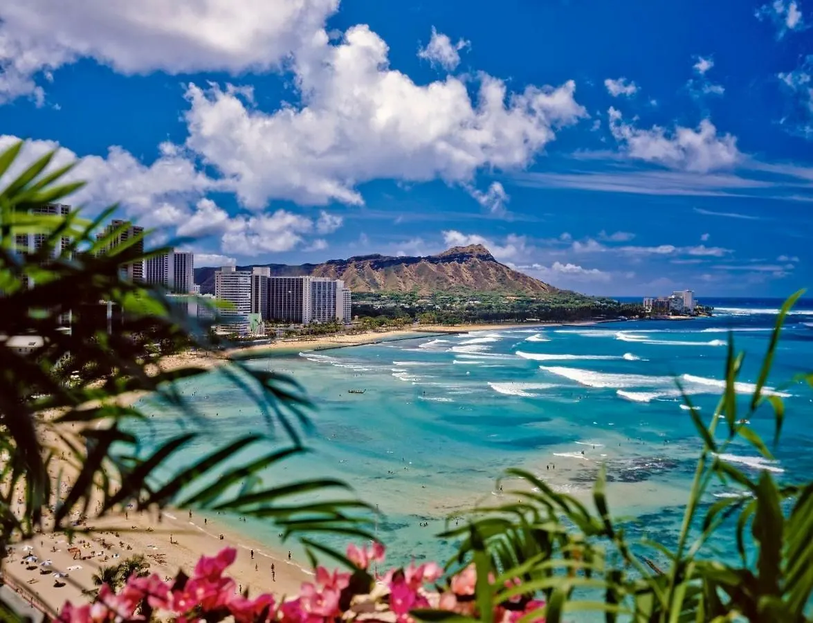 Beautiful Ocean And Diamond Head Views With Parking Apartment Honolulu